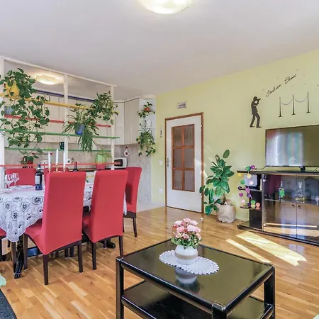 Three-bedroom In Radovcici *