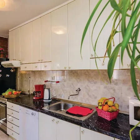 Three-bedroom In Radovcici