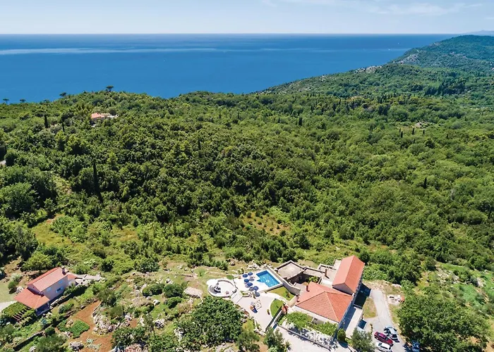 Three-bedroom In Radovcici